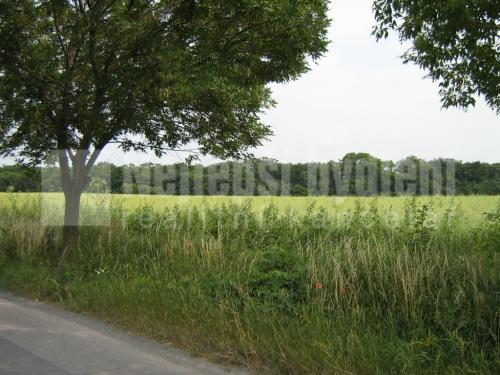 Prodej nemovitosti: Pozemek 12 000m2, okraj obce Klecany