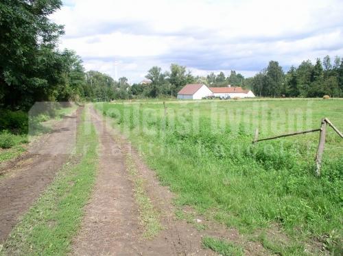 Pozemky na prodej: Prodej zemědělské půdy, Dobřany