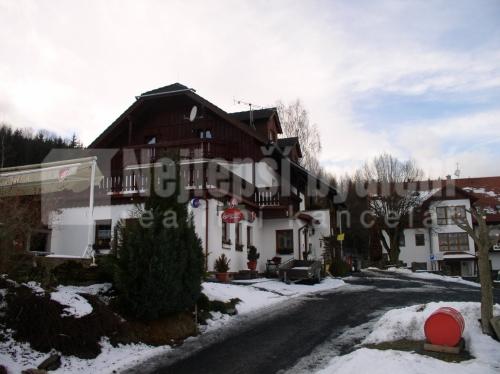 Penzion Hospůdka Pod Lesem Hamry