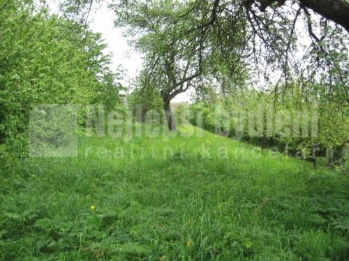 Bez realitkyProdej SP 1106 m2, Skořice